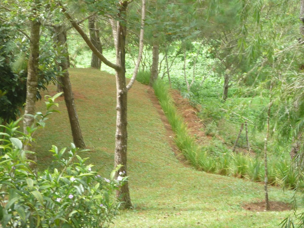 Hotel Casa Gaia Cobán Eksteriør bilde
